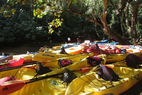 Wailua River Kayaking Hawaii - 360 Travel Talk