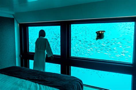 Australia's First Underwater Hotel, in the Great Barrier Reef, Lets You Sleep Next to Fish ...