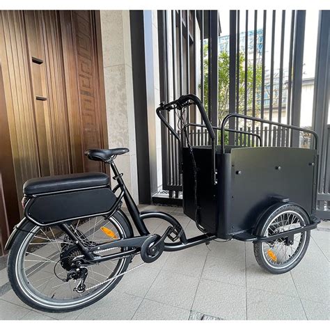 3 Wheel Electric Cargo Bike Aluminum Frame Tricycle with Wooden Box for ...