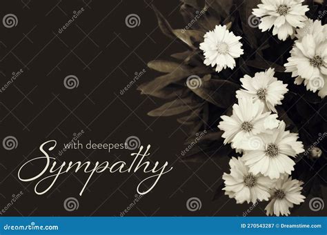 Sympathy Card with White Flowers on Dark Background Stock Image - Image ...