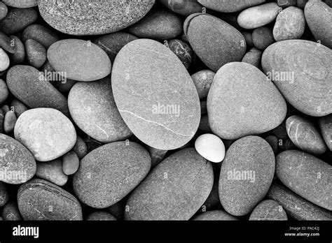 Abstract smooth round pebbles sea texture background Black and White ...