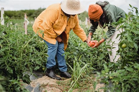 Growing and Caring for Plants in Wisconsin: Foundations in Gardening ...