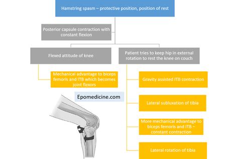 Triple deformity of Knee : Mnemonic | Epomedicine