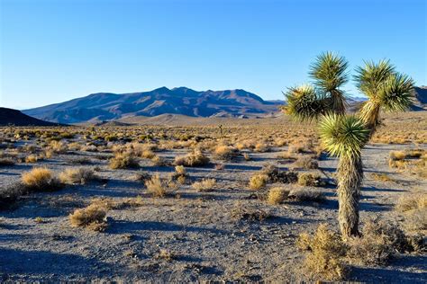 California Desert Wallpapers - Top Free California Desert Backgrounds - WallpaperAccess