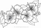 Desene De colorat Cu Flori Si Plante – Planse sketch template