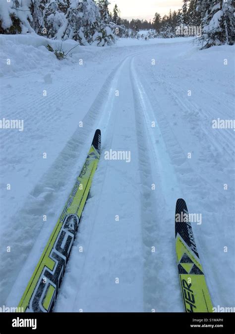 Cross-country skiing in Norway Stock Photo - Alamy