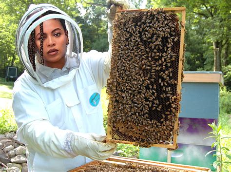 Beyoncé Opens Up About Her Hobby as a Beekeeper | Exclaim!