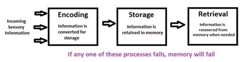 Memory Encoding Storage Retrieval