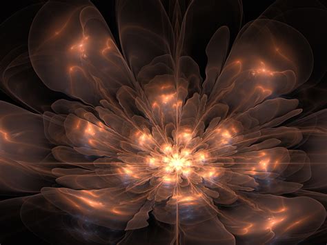 Space Flower by Appareance on DeviantArt