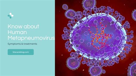 Understanding Human Metapneumovirus: Causes, Symptoms, and Available ...