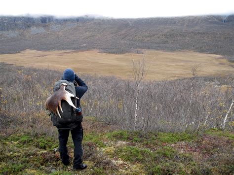 Wildlife expedition in Sarek National Park, Lapland by Wild Sweden ...