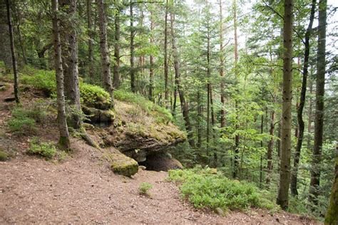 Hiking in Alsace | Stock image | Colourbox