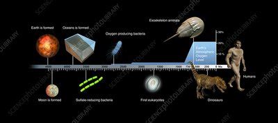 Evolution of Earth timeline, illustration - Stock Image - C026/6373 - Science Photo Library