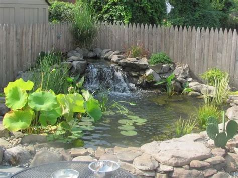 Aquatic Plants For Ponds: 11 Of Our Maryland Favorites