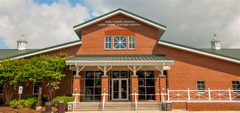 Meet The Dean: College of Veterinary Medicine at Auburn University - Veterinary Practice News