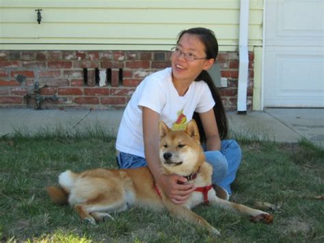 Shiba Inu Training Secrets