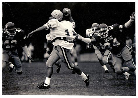 1st down and 20 years: Looking back on Gators football – Golden Gate Xpress