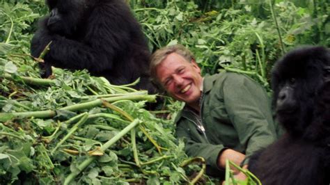 [US] David Attenborough: A Life on Our Planet (2020) - A broadcaster recounts his life, and the ...