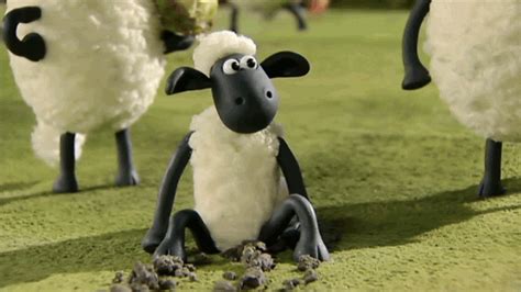 Shaun The Sheep Football GIF by Aardman Animations - Find & Share on GIPHY