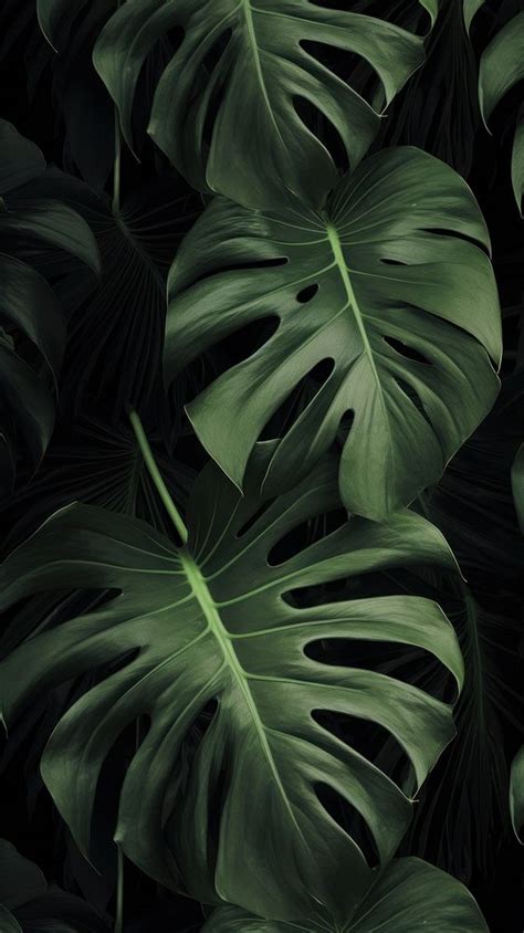 Monstera leaves Green wallpaper green | Premium Photo - rawpixel