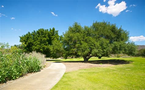 Golf Cart Path On Course Free Stock Photo - Public Domain Pictures