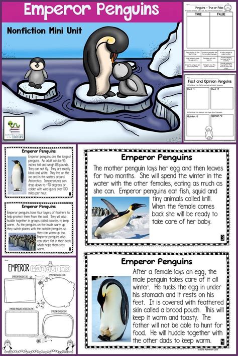 Emperor Penguins | Creative Teaching Ideas: Literacy, Math, and More! | Emperor penguin ...