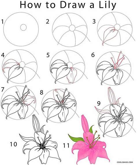 Learn how to draw flowers like roses of lilies and turn these drawings into really beautiful ...