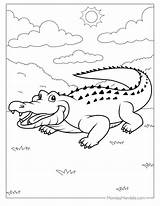 25 Crocodile Coloring Pages Free PDF Printables sketch template