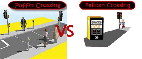 The Difference Between Pelican Crossing and Puffin Crossing