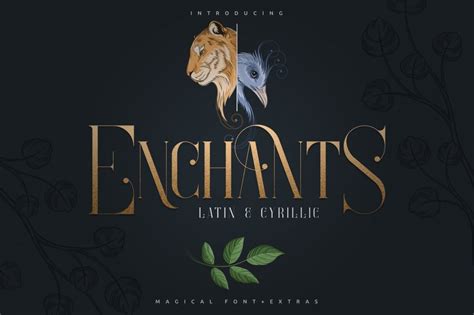 Enchants - Magical Font - Design Cuts