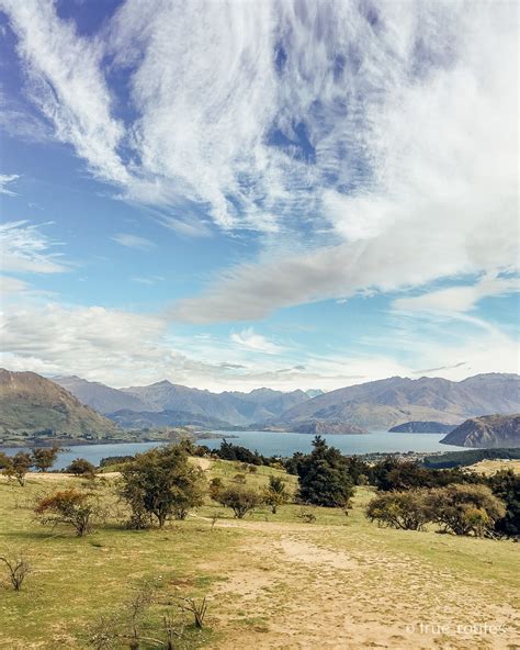 Five Must Do Walks Around Wanaka – True Routes