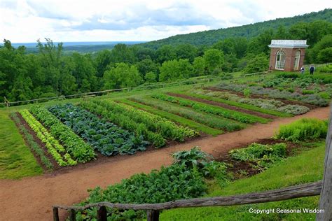 Some Great Gardening Advice for the First-Time Gardener | Home vegetable garden, Garden layout ...