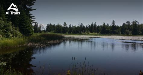 10 Best hikes and trails in Wilderness State Park | AllTrails