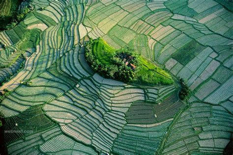 Aerial View Photography Rice Fields 25