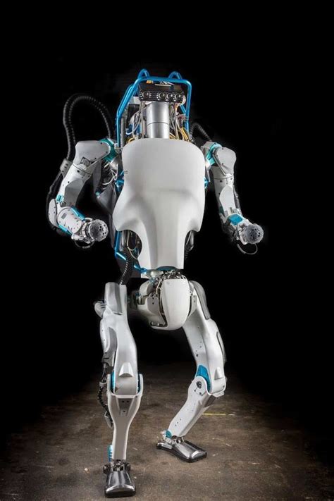 Why do robots look like animals and humans?