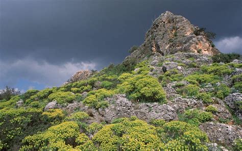 UNESCO adds Mount Carmel caves to list of World Heritage sites | The Times of Israel