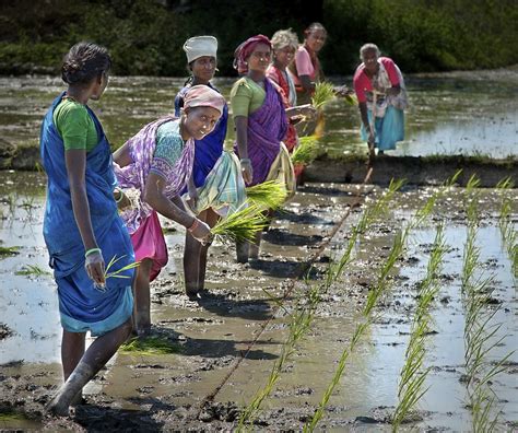 India's Rural Women And Their Miserable Plight Remains Heavily Ignored: Here's What's Needed To ...