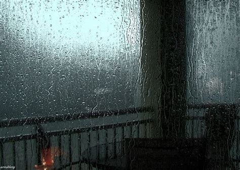 Windy Rainstorm audio atmosphere | Rainy wallpaper, Rainy day aesthetic, Rain wallpapers