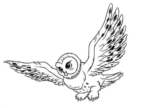 Snowy Owl Coloring Page at GetColorings.com | Free printable colorings pages to print and color