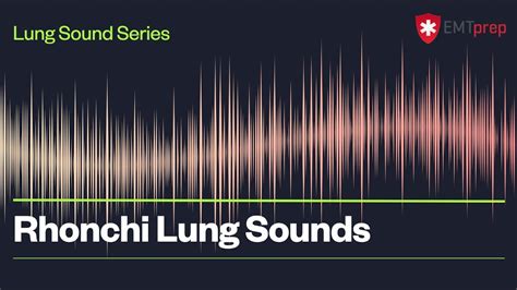 Rhonchi Lung Sounds - EMTprep.com - YouTube