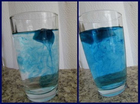 Convection Current Experiment - The Homeschool Scientist | Convection ...