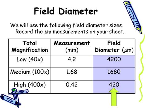 PPT - Microscope Math PowerPoint Presentation, free download - ID:5889831