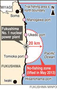 Five years on, tsunami debris on ocean floor near Fukushima nuclear ...