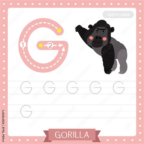 Letter G uppercase tracing practice worksheet. Gorilla Stock Vector ...