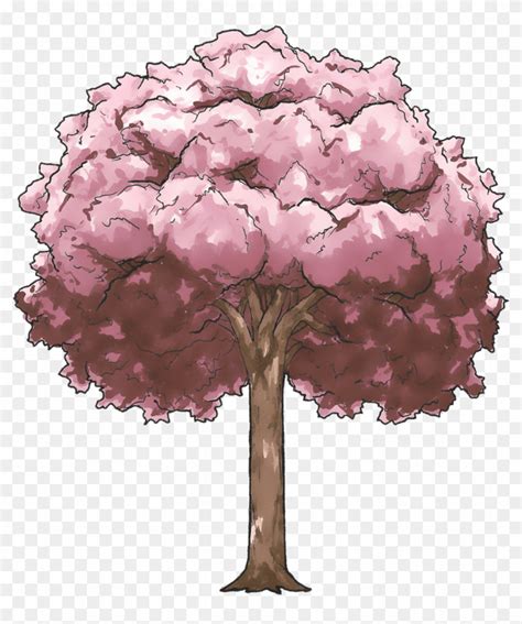 Cherry Blossom Tree - Cherry Blossom Anime Tree Drawing, HD Png Download - 1161x1306(#134495 ...