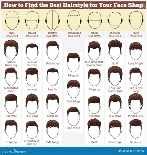 Different Faces and Haircuts Stock Vector - Illustration of people, person: 65648930