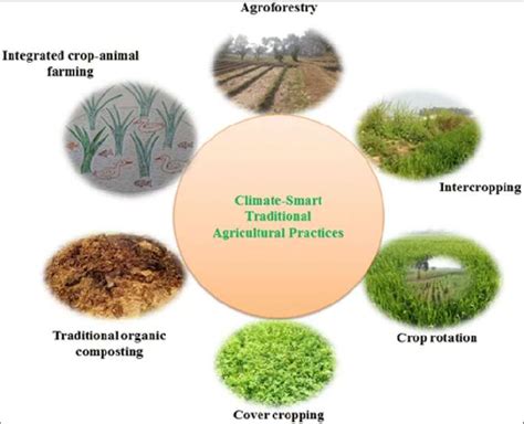 An illustration of traditional agricultural practices | Download Scientific Diagram