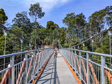 Derby Tasmania | Australia's BEST Mountain Biking - Tracks Less Travelled