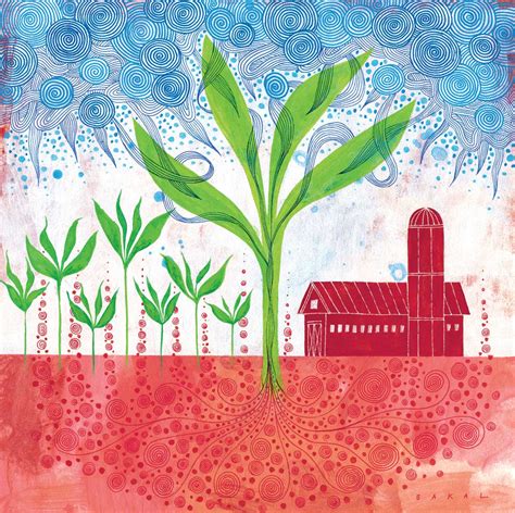 Carbon Farming: Hope for a Hot Planet - Modern Farmer