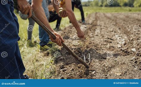 Farmers Working in the Fields Stock Photo - Image of ground, friendly ...